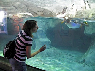 eve_IMG_1277