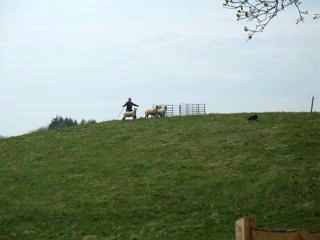 IMG_1839
