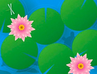 water lilies