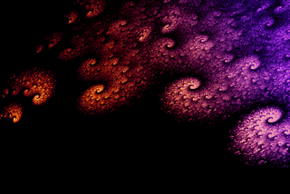 Octopus-4-copy