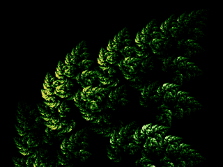 foliage1