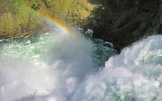 IMG_0410