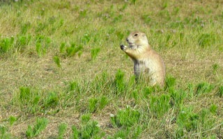 IMG_0453