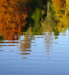 IMG_0609