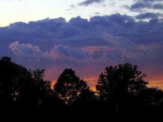 IMG_1033